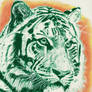Tiger in Green 2