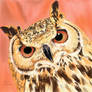 The Owl 2