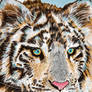 White Tiger 3