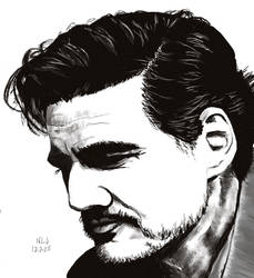 Pedro Pascal 7