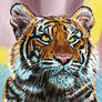 Tiger in Color 3