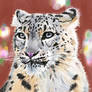 Snow Leopard 3