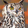 Bird of Prey 2