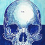 Skull 10
