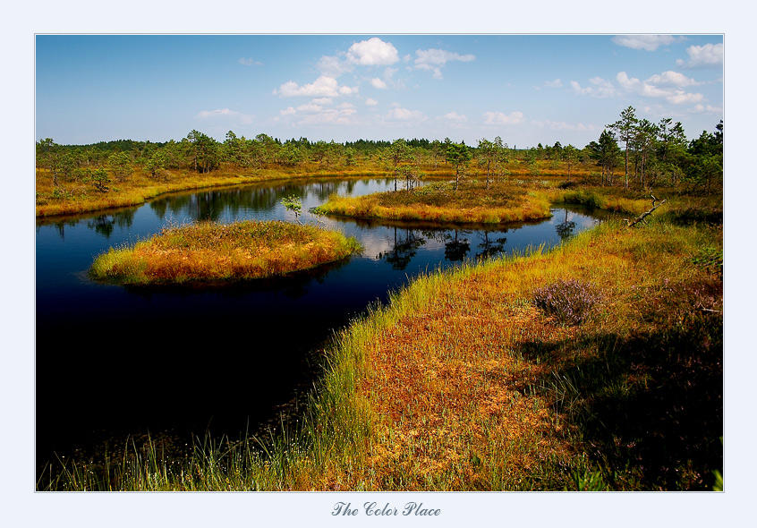 The Color Place by Erni009 on DeviantArt