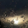 black gold blue