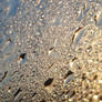 fluid sunrise