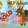 My Little Pony Adopts - Open