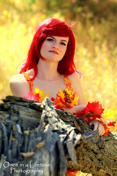 Autumn Ivy 14