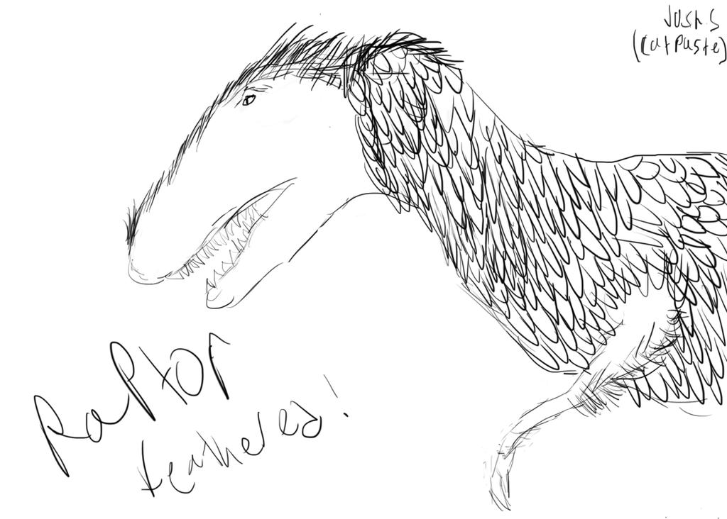 Raptor Sketch (Feathered) by CatPasteDinosaurs on DeviantArt