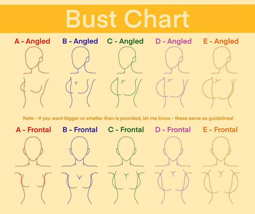 Bust Chart by EMLC3690 on DeviantArt