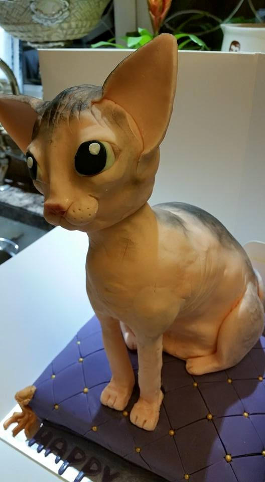 Shinx Cake Sphinx Cat Cake by lupuswynnejones on DeviantArt