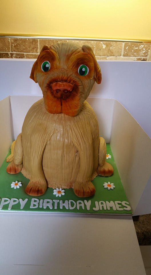 Labrador Cake by lupuswynnejones on DeviantArt