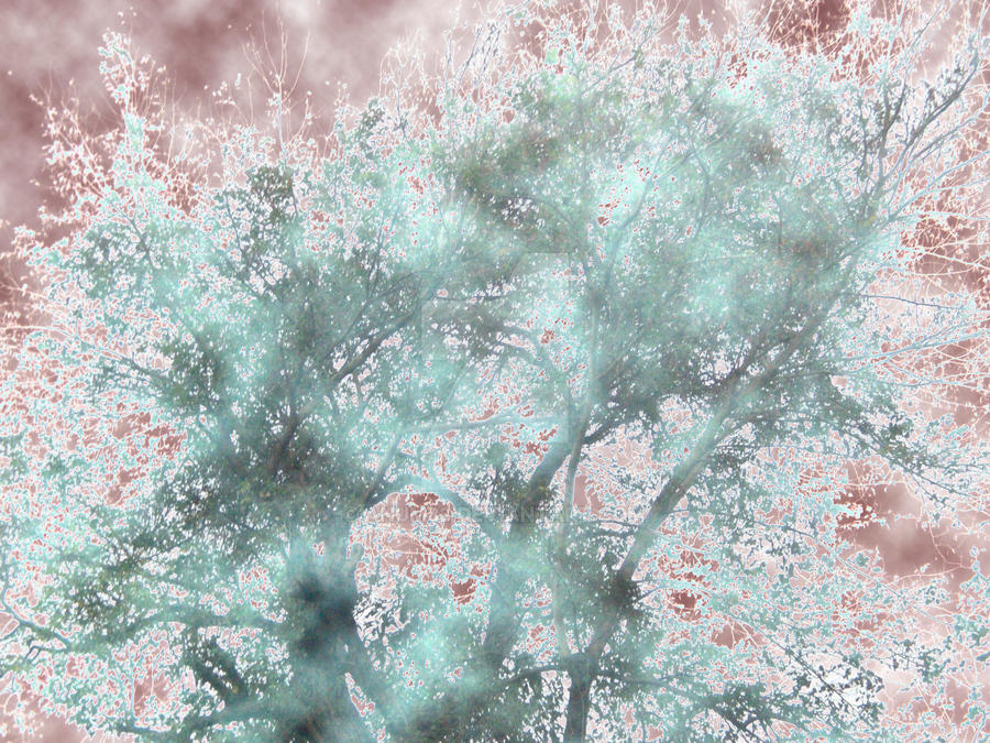 Masked Tree by anum83 on DeviantArt