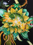 birth of a flower by BobCourtney