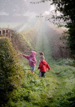 Countryside Walk