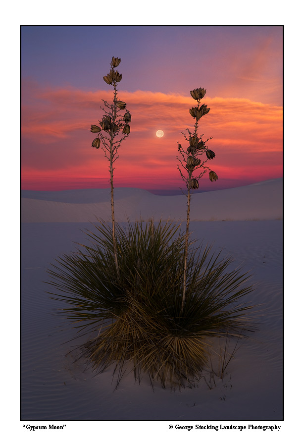 'Gypsum Moon'