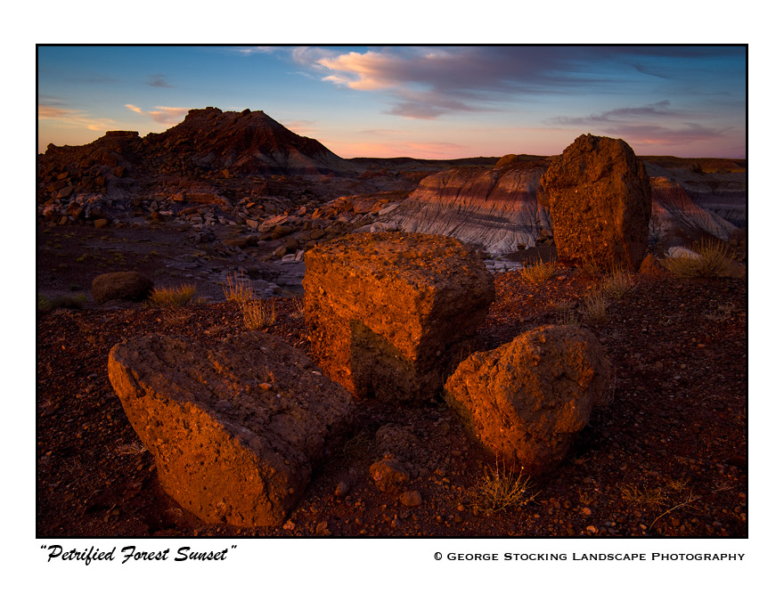 Petrified Forest Sunset