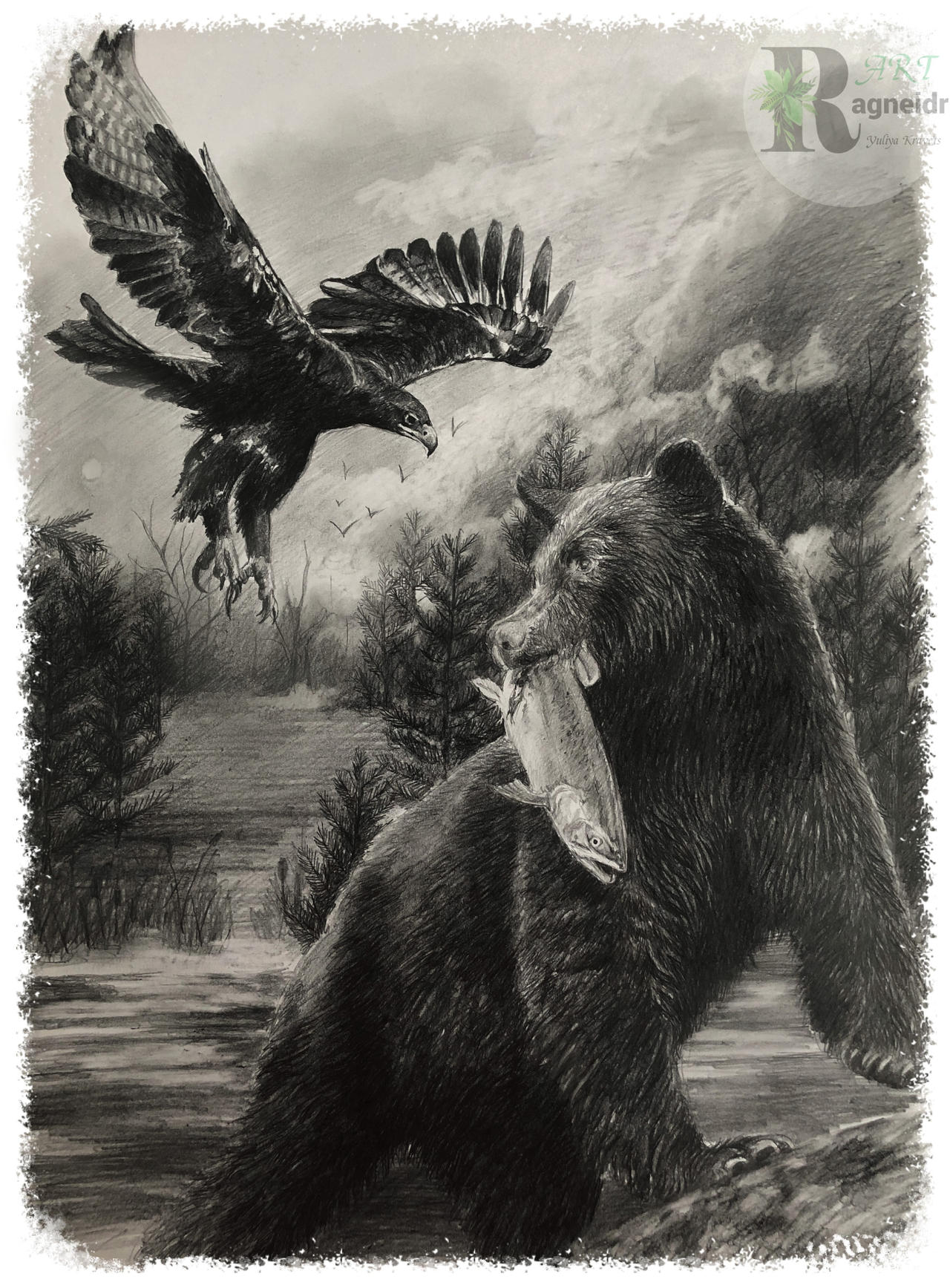 black bear and black eagle by ragneidr on DeviantArt