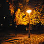 Autumn Night