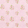 Paisley floral paper stock