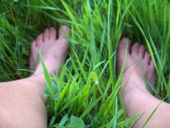 green grass