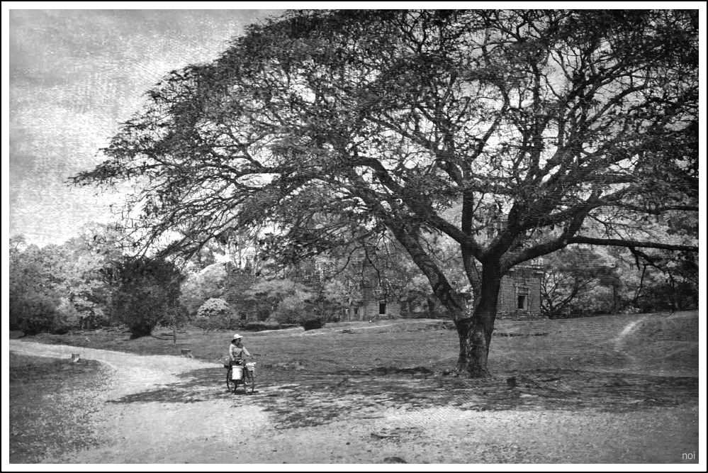 The old road with tree shadows.