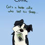 Cat the Border Collie PITCH