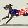 Liberty Hound