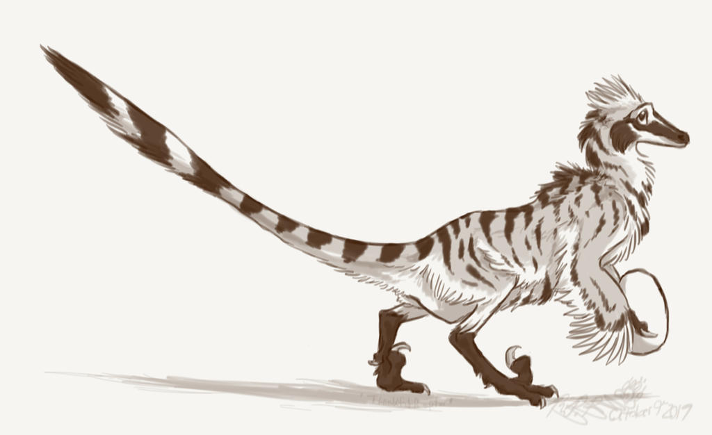 Bashful Raptor Thankful Raptor by Falcolf on DeviantArt