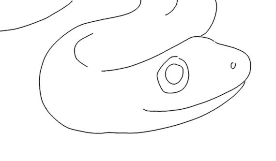 Snake study by spookysoda on DeviantArt