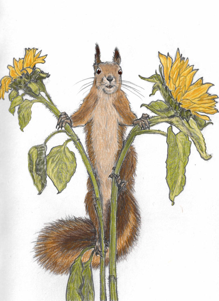 Cheeky Squirrel By MichelleCreatesArt