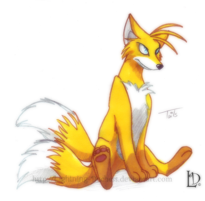 Baby Tails by GriffinGirl100 on DeviantArt