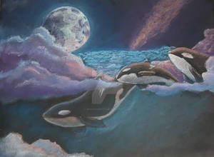 Orcas in the Sky