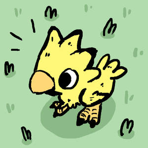 Kochocobo