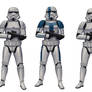 Stormtrooper Commander with escorts
