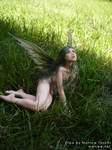 Olya, forest fairy 3 by Moniee