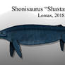 Titan of the Triassic: Shonisaurus sp.