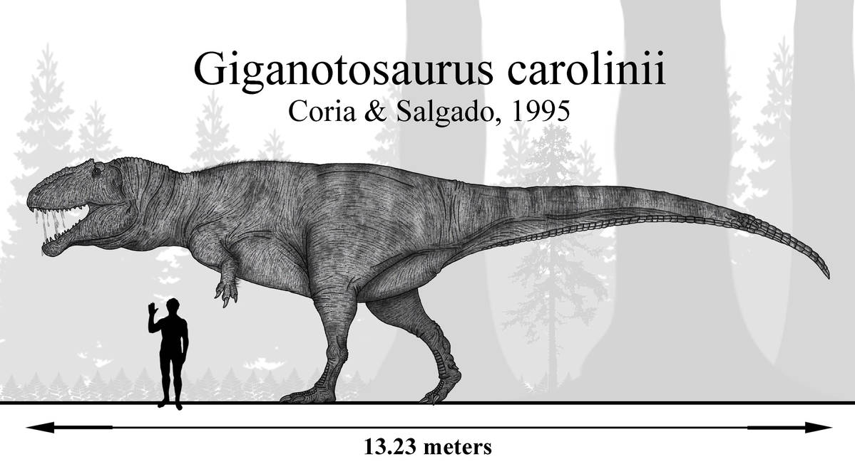 Гигантозавр против. Гиганотозавр Палео. Тиранозавр Спинозавр гигантозавр. Гигантозавр Primeval. Гигантозавр меловой период.