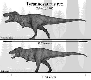 The Mightiest of Them All: Tyrannosaurus rex