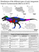 The Scale Types of Tyrannosaurids