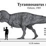 Long live the queen: Tyrannosaurus rex