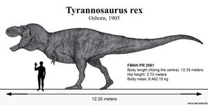 Long live the queen: Tyrannosaurus rex