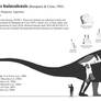 Argentinosaurus huinculensis skeletal diagram