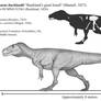 Buckland's Giant Lizard: Megalosaurus bucklandii