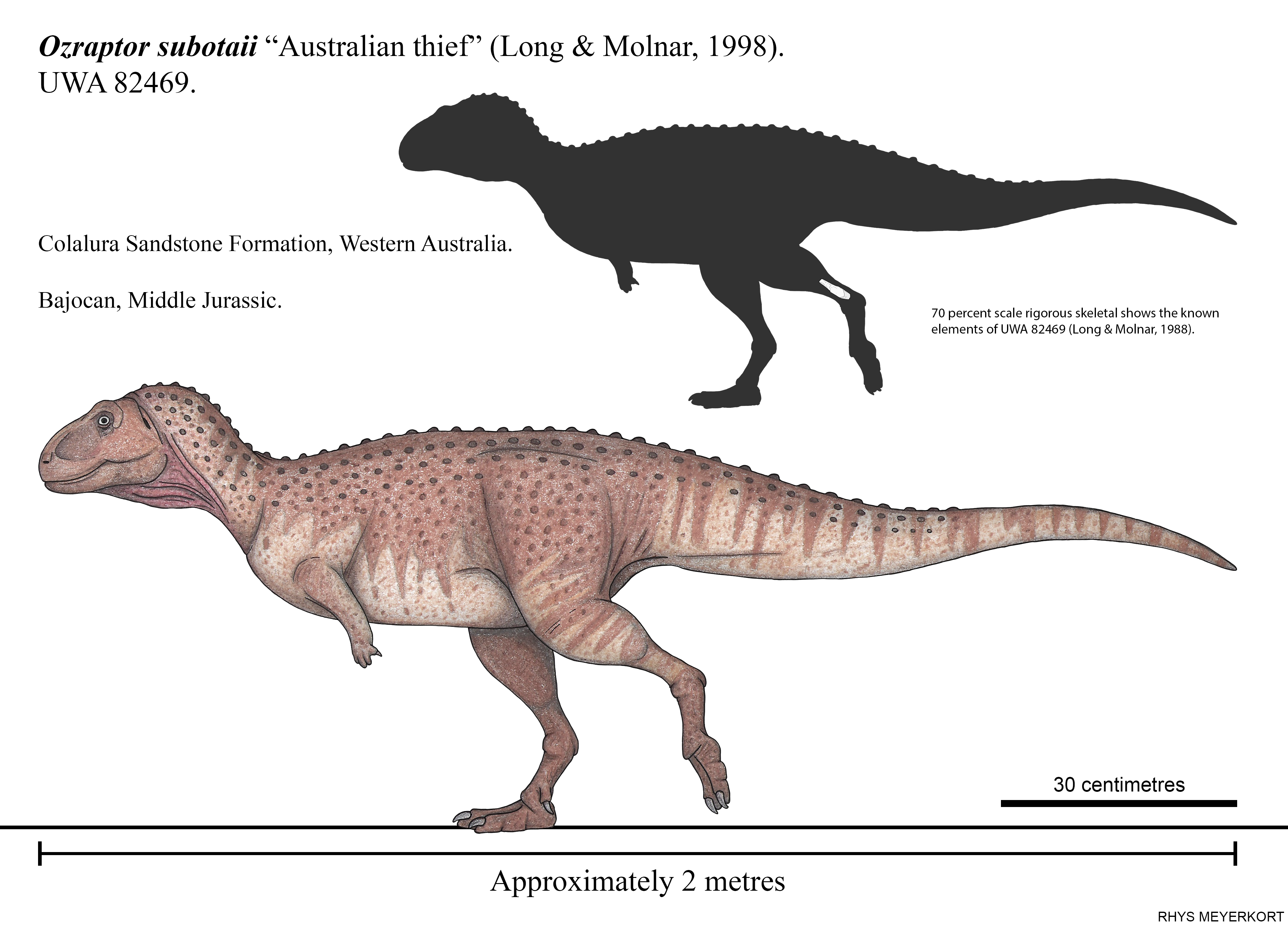 Carnotaurus for Wikipedia by FredtheDinosaurman on DeviantArt