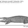 Kalia, the largest saltwater crocodile? (Update)