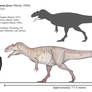 Labrosaurus ferox: broken jaw Allosaurus