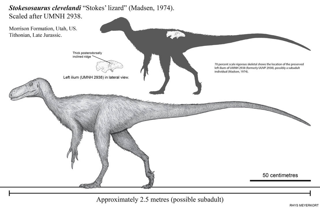Stokesaurus Stokesosaurus clevelandi: Stokes' lizard by Paleonerd01 on DeviantArt