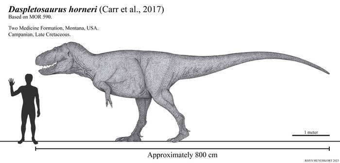 Lizard-lipped Daspletosaurus horneri